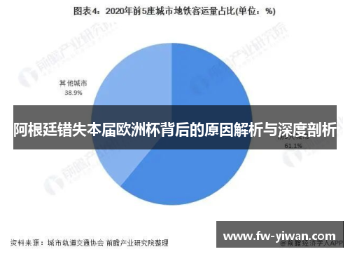 阿根廷错失本届欧洲杯背后的原因解析与深度剖析